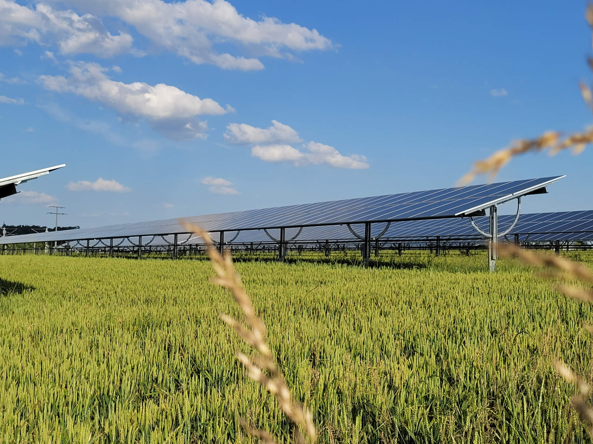 l'expertise technique